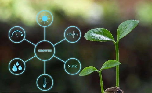農業農村部數字農業試點（遙感信息系統方向）申報條件解析